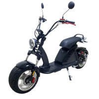 Электроскутер  CityCoco Gt M6 