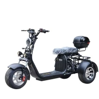 Электроскутер трехколесный CITYCOCO GT X11 TRIKE 2023 Черный