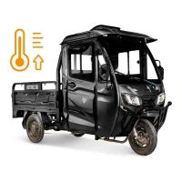 Грузовой электротрицикл Rutrike КАРГО Кабина обогрев 1500 60V1000W черный